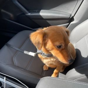 Meet your Posher, Chad